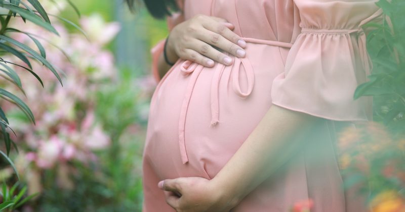 Government Funding Influenced Official Recommendation for Covid Shots in Pregnant Women