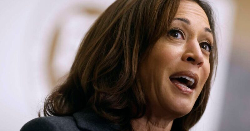 Kamala Harris Reveals Support for ‘Abolish ICE’ Movement, Claims ‘Their Mission Is Very Much in Question’