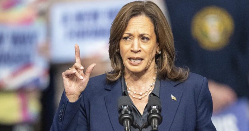 Watch How Kamala Harris Deals with Anti-Israel Agitator Interrupting Her Remarks