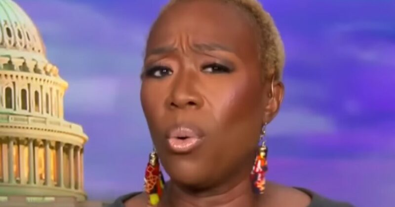 MSNBC Host Joy Reid Claims ‘Trump Plans to Deport Legal Immigrants Too—If You’re Brown, You Might Not Stick Around’