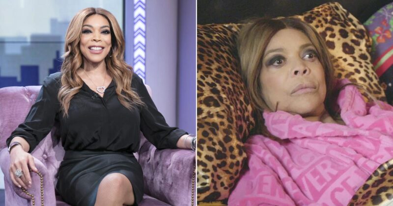 Former Talk Show Host Wendy Williams Is “Permanently Incapacitated”