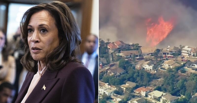 LA Wildfire Reaches Brentwood: Home to Kamala, LeBron, Schwarzenegger, and Other Celebs