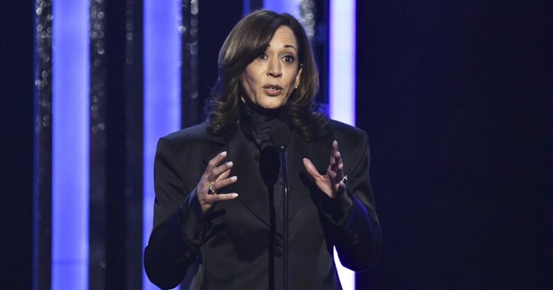 Kamala Harris Lines Up Another Run for Office, Vows She Is ‘Staying in This Fight’