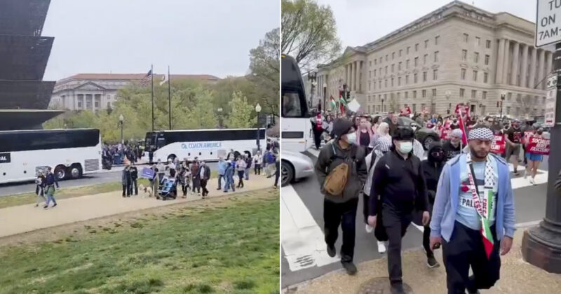 Dems Caught Staging Another ‘Inorganic’ Color Revolution Operation Against Trump