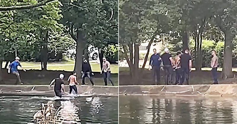 Illegal Migrant Suffers Instant Karma After Daring Attempt to Escape ICE