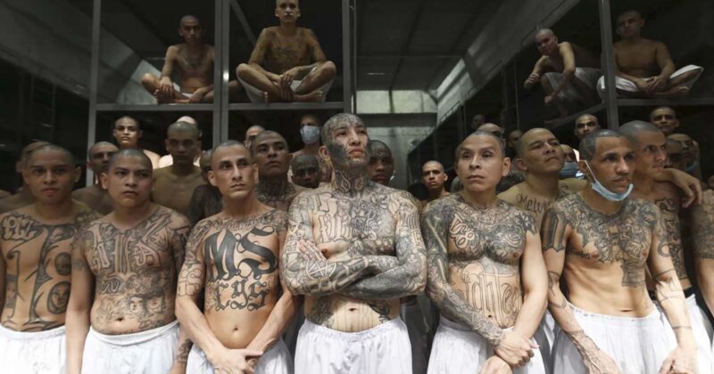 MS-13 Gangbangers Stabbed 3 Virginia Correction Officers in Heinous Attack
