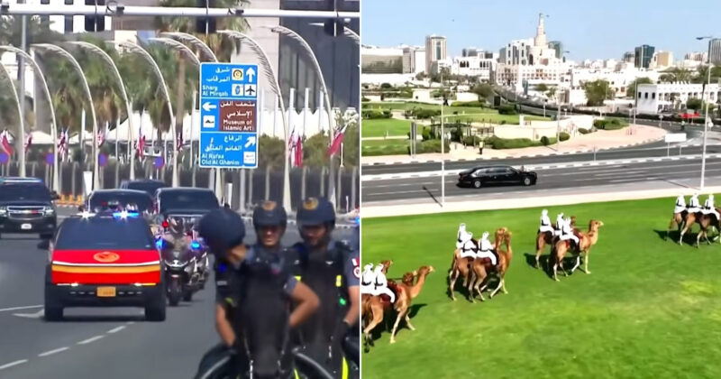 Watch: Trump Greeted by Camels and Arabian Horses After Arriving in Mideast Country for Talks