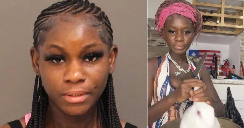 Woman Who Tortured Animals Launches GoFundMe to Stop Trump from Deporting Her
