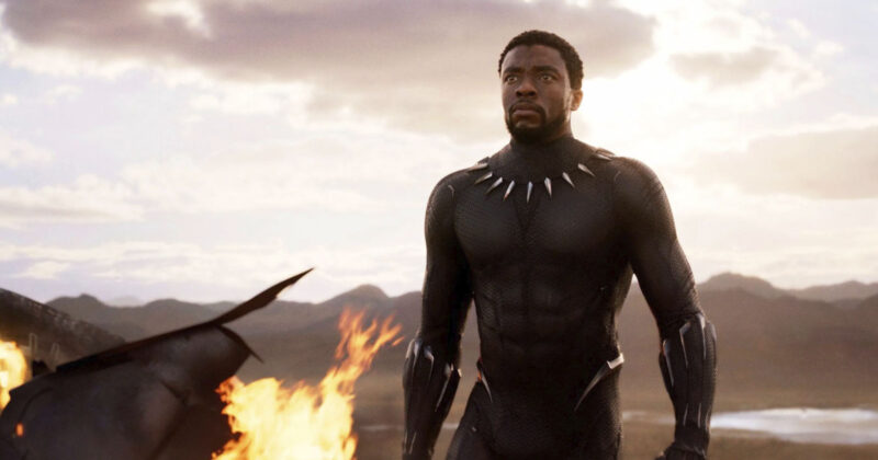 Marvel Fans Erupt After New Black Panther Is Revealed as White