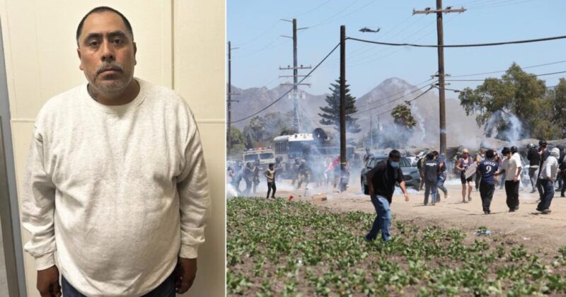 CBP Commissioner: Illegal Migrant Arrested in California Farm Raid Is Child Predator