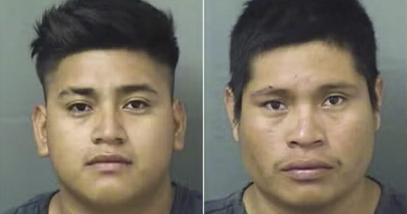 2 Illegal Migrants Arrested for Gang-Raping a 7-Year-Old Girl — Could Face Death Penalty