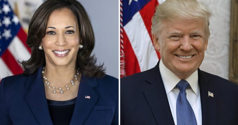 Former Vice President Kamala Harris Accuses Trump of Killing Capitalism to Stroke His ‘Fragile Ego’