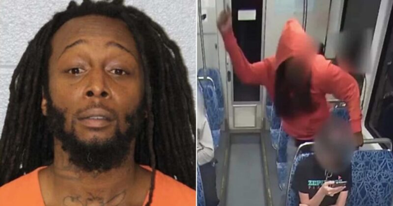 Decarlos Brown Jr. Reveals His Motive for Stabbing Iryna Zarutska