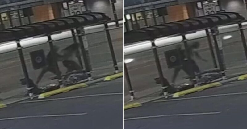 Career Criminal Kills Man, 76, in Bus Stop Beating Caught on Video