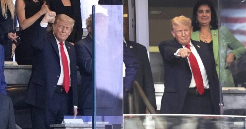 Watch: Trump Cheered on at Yankee Stadium by Fans