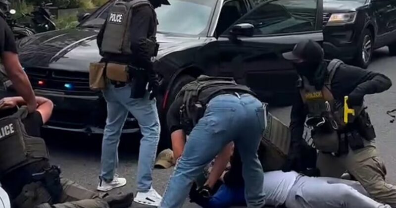 Federal Agents Expose Huge Immigration Fraud Scheme Tied to Hundreds in Minnesota