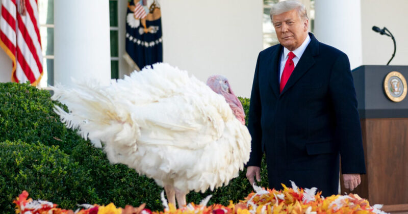 Majority Of Americans Hope To Avoid Thanksgiving Political Discussions, Poll Finds