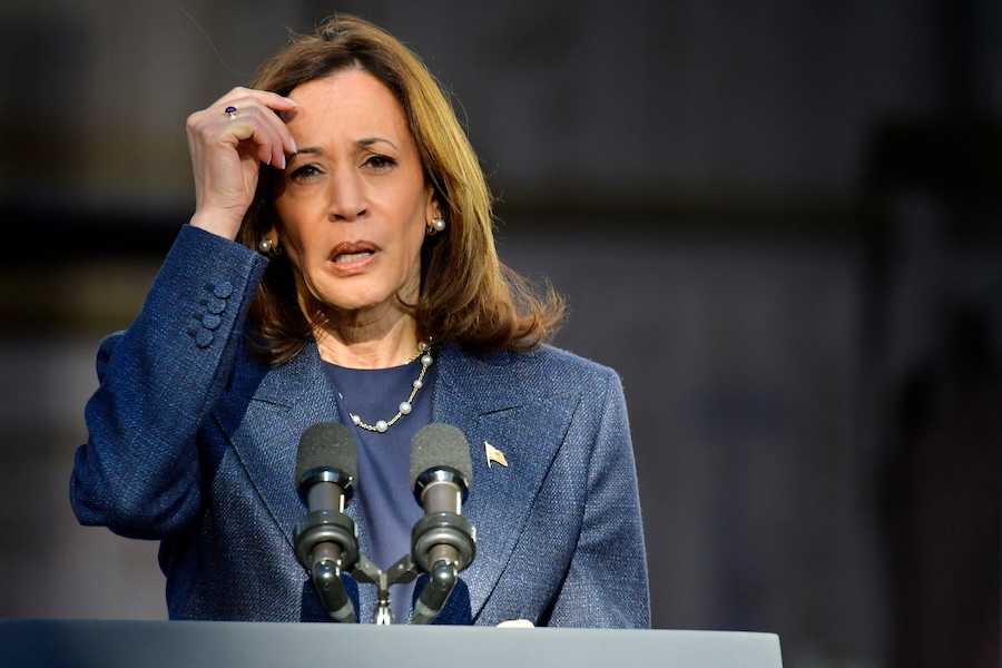 Calls for DNC Chair Resignation Intensify Following Election Review