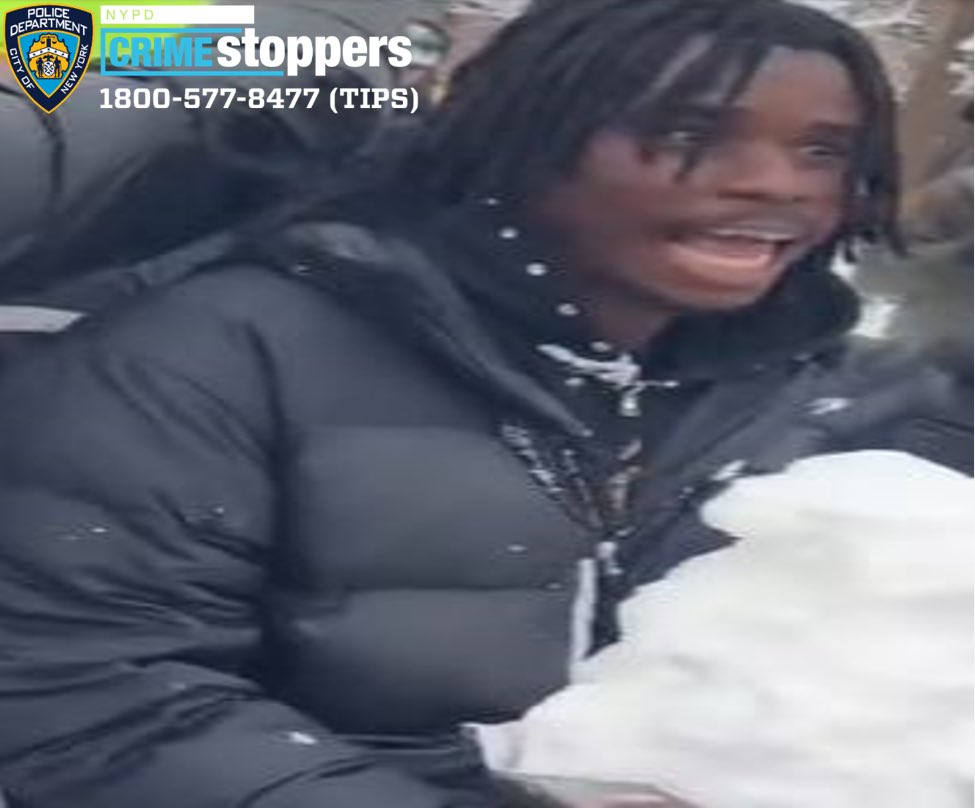 NYPD Arrests Suspect in Washington Square Park Ice Attack as Mamdani Downplays Incident