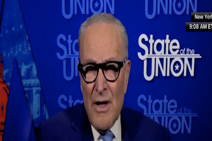 Chuck Schumer Stumbles When Confronted With Popularity Of Voter ID