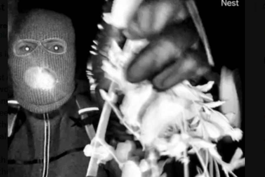 Final FBI Sweep Points to Stalled Probe in Nancy Guthrie Disappearance