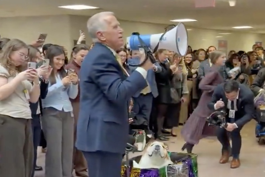Tillis Criticized for Hosting Capitol Hill Dog Parade During SAVE Act Impasse