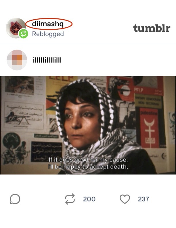 Controversy Erupts Over Rama Duwaji’s Past Praise for Terrorism