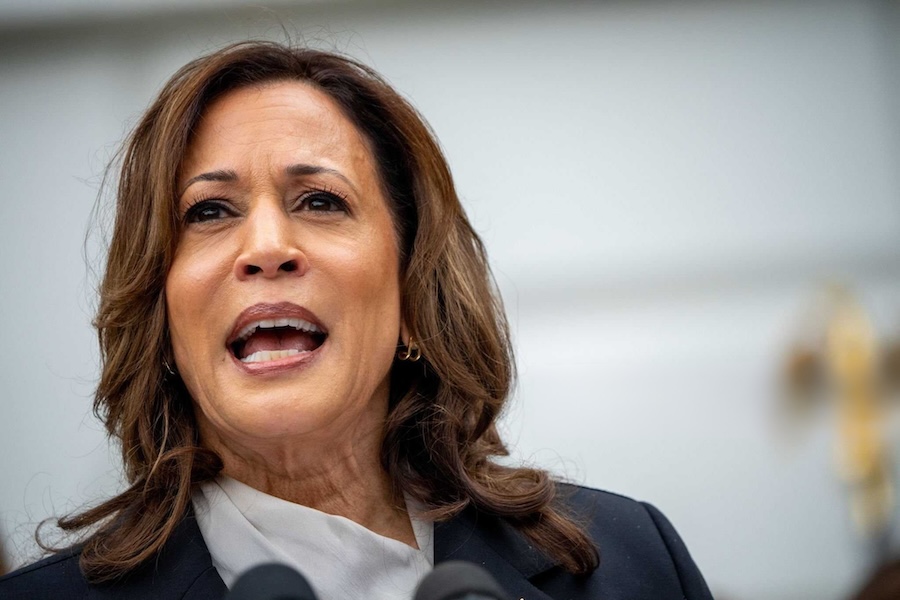 Kamala Harris Signals Interest in 2028 Presidential Bid