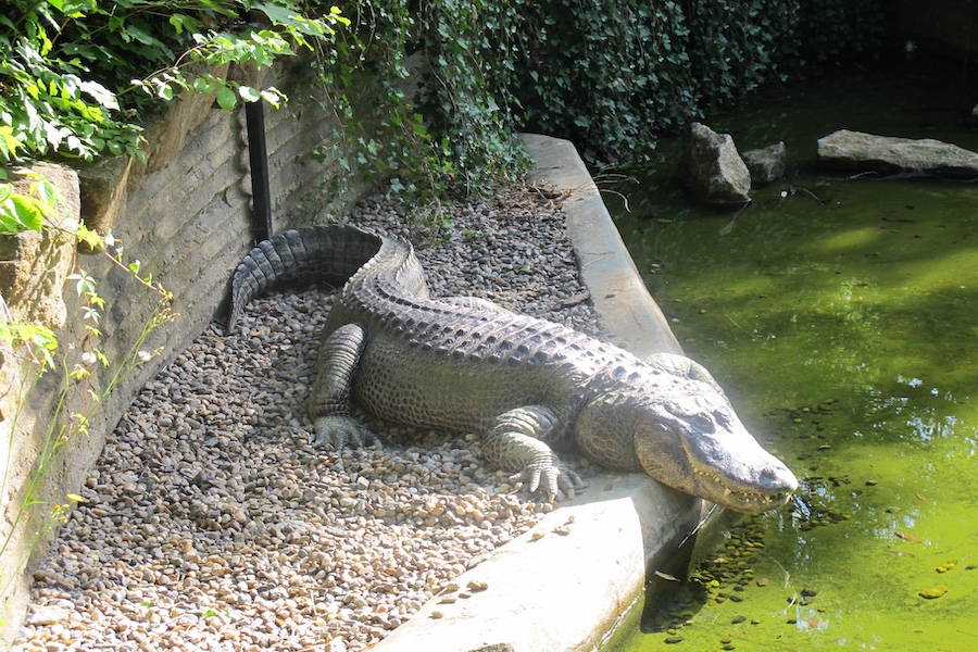 UK Man Who Threw Toddler Into Crocodile Enclosure Granted Bail Due to Mental Health