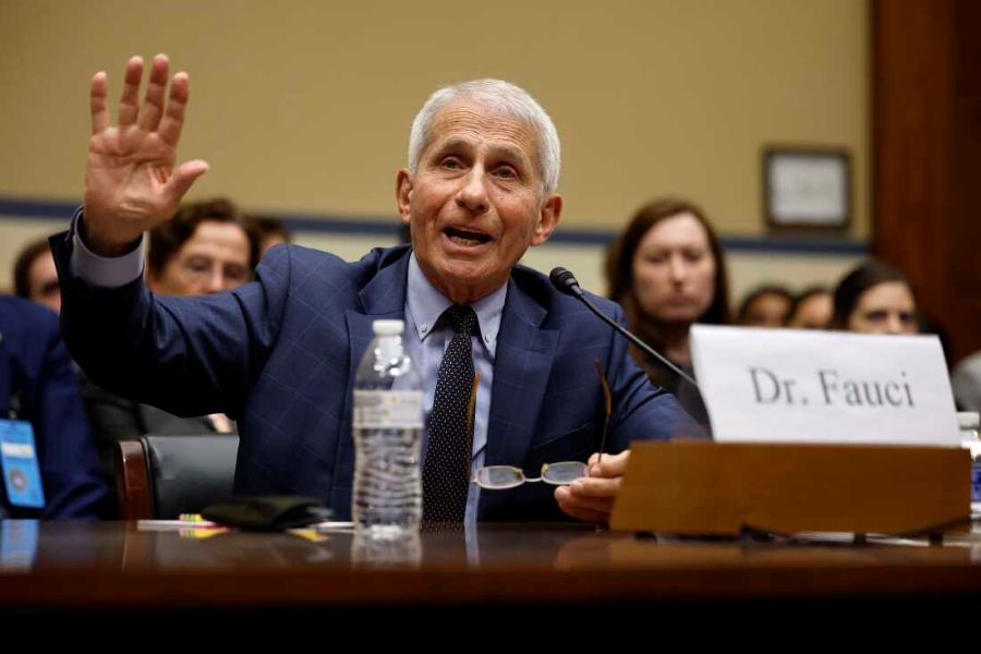 CNN Analyst Suggests Fauci’s Senate Hearing Increased Legal Risks