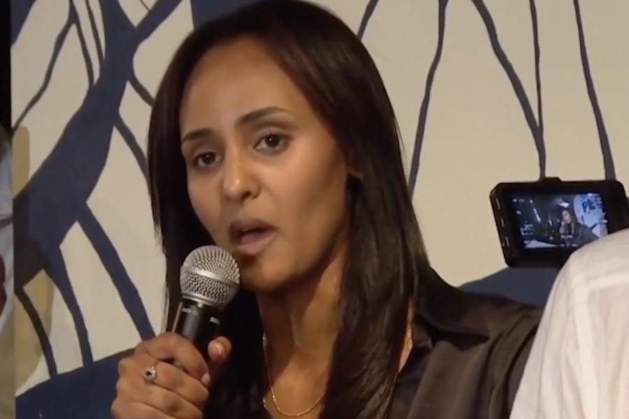 New House Democrat Supports Amnesty and Blames America for 9/11