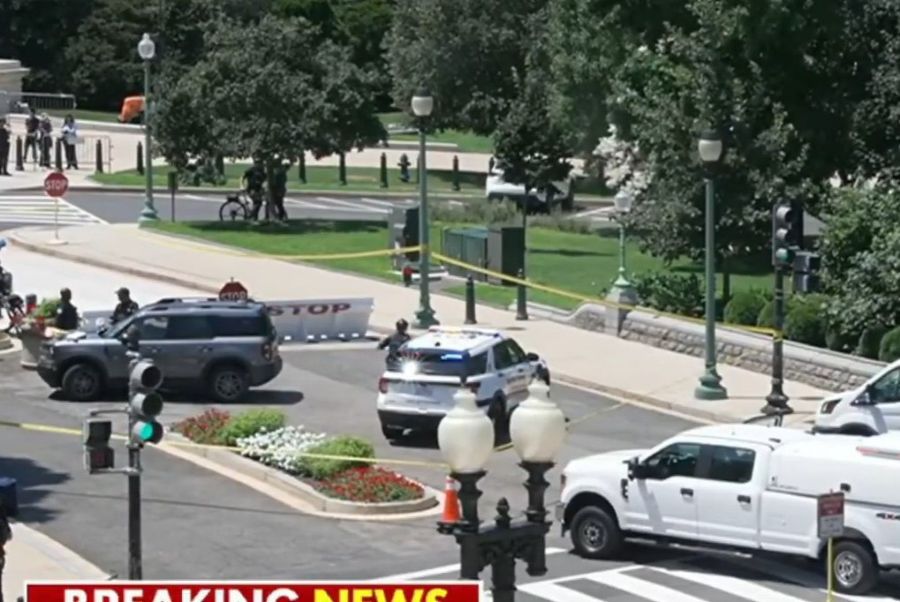 Gun-Wielding Individual Detained at Capitol