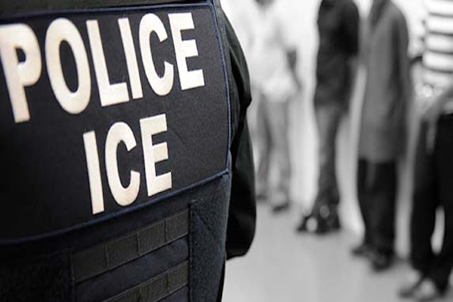 Former News Anchor and Democratic Aide Detained by ICE