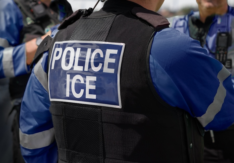 California Lawmaker Advocates for Aide’s Release Following ICE Arrest