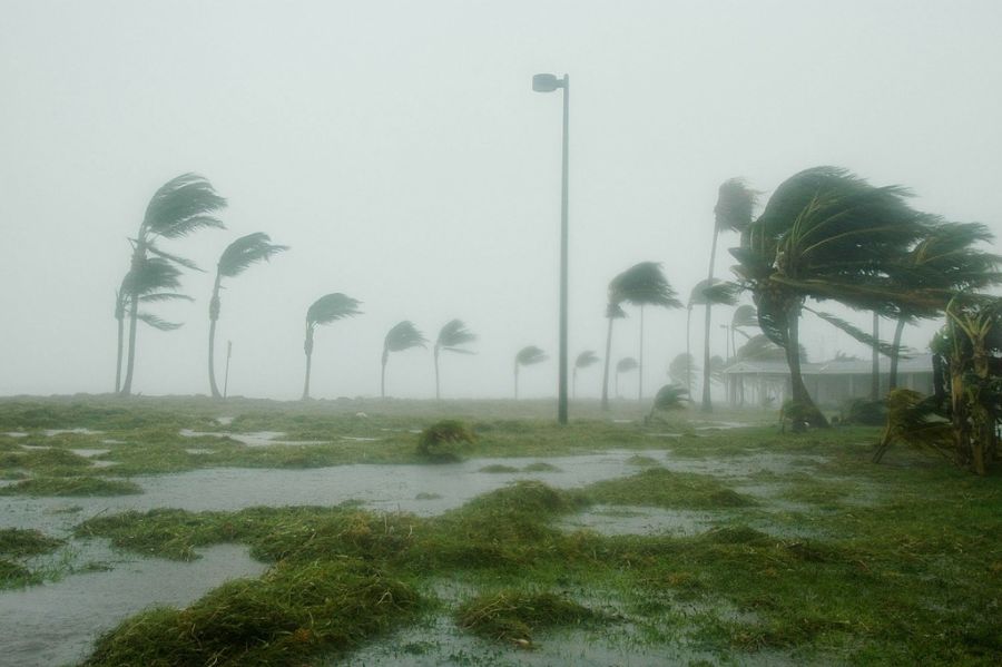 Emergency Declaration as Severe Hurricane Approaches U.S. Coast